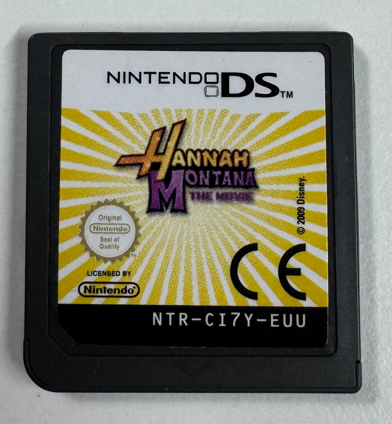 Hannah Montana: The Movie DS